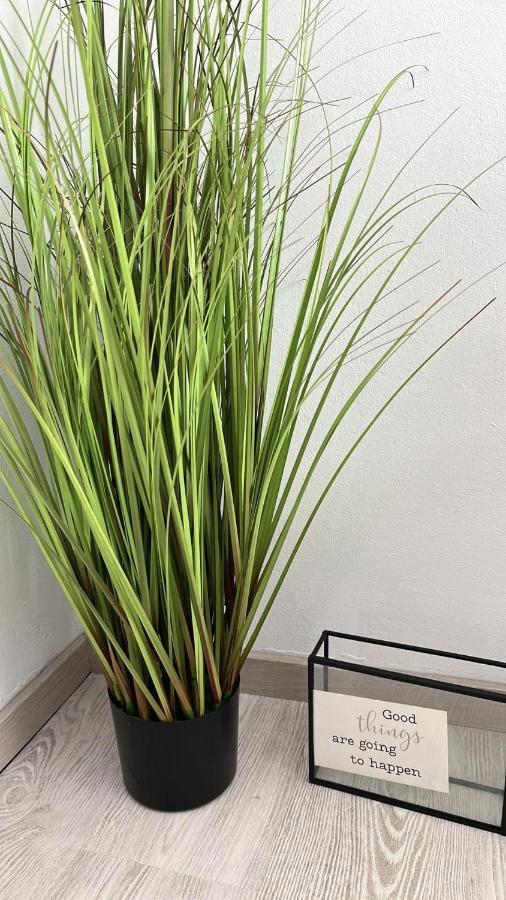 Le Clos Fleuri 福维莱尔斯 外观 照片